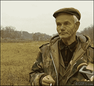 zDivdTE.gif