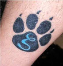 zetapaw.jpeg