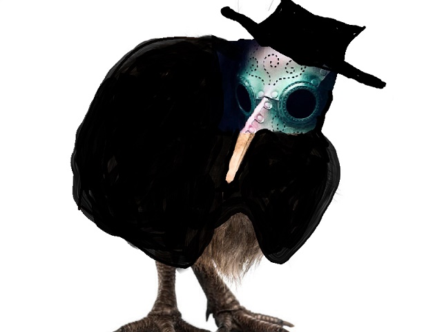 zoom.jpg