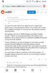 728857