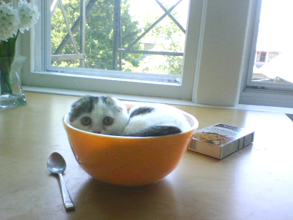 breaky-2317.jpg