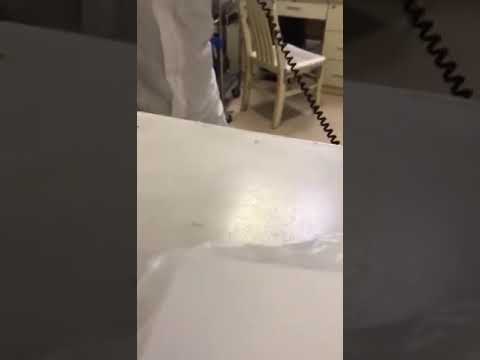 www.youtube.com