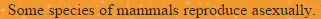 dPonCXG.png