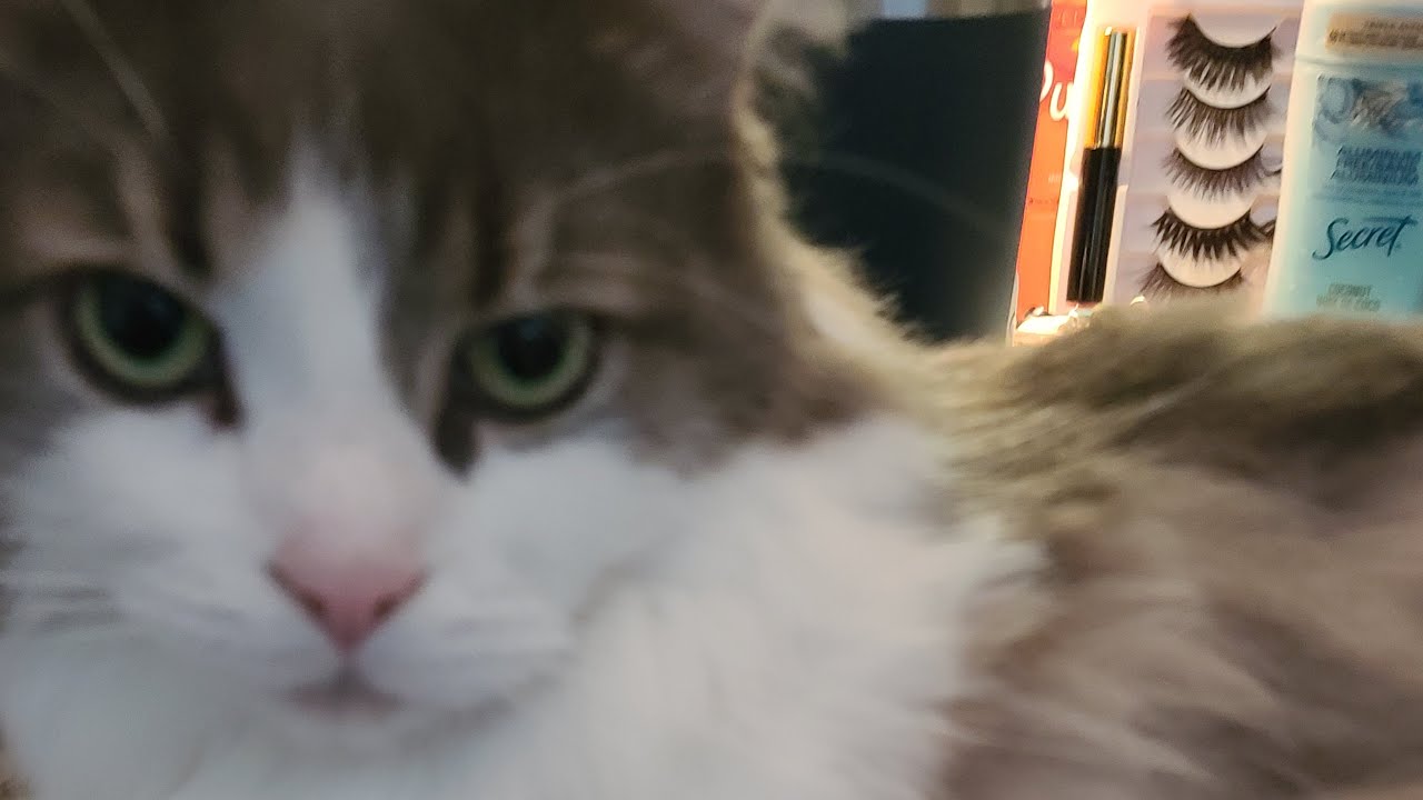 www.youtube.com