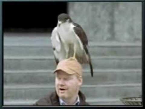 www.youtube.com