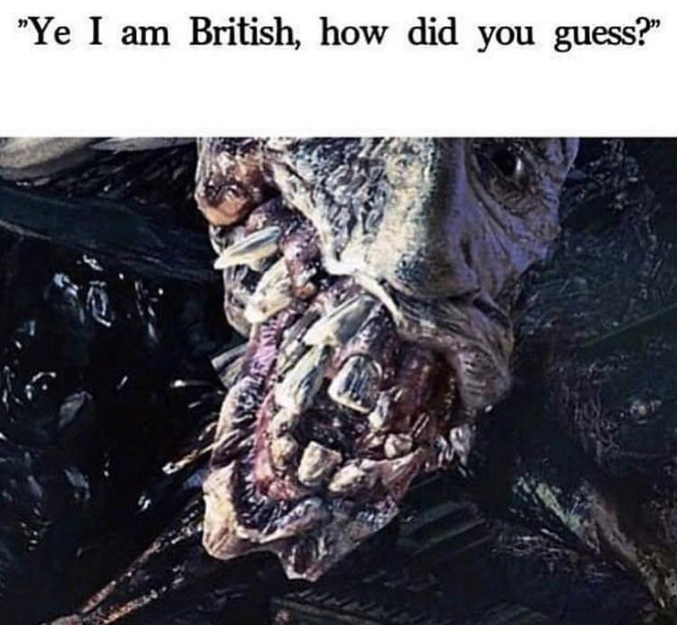 i9onc4ydw6z11.jpg