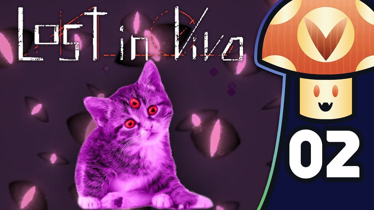 www.youtube.com