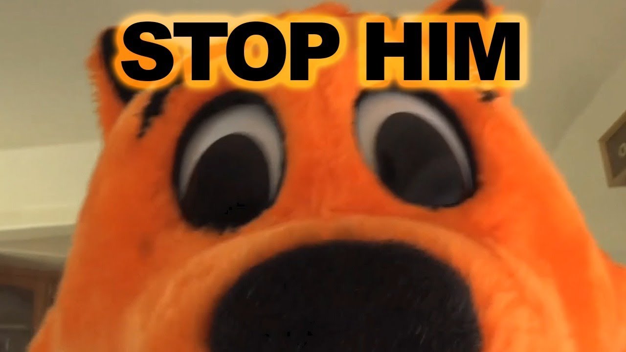 www.youtube.com