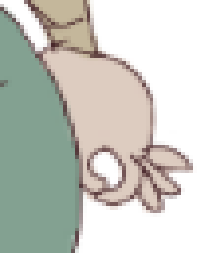 PuXhGuR.png