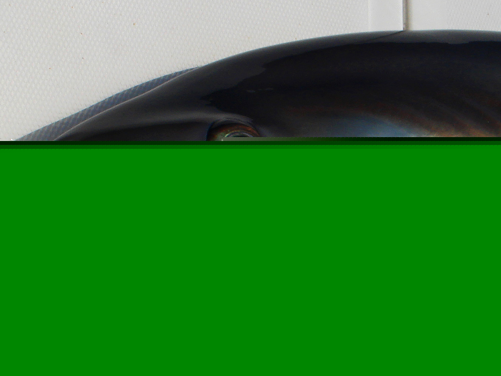 6098035670_113f0d935f_b.jpg