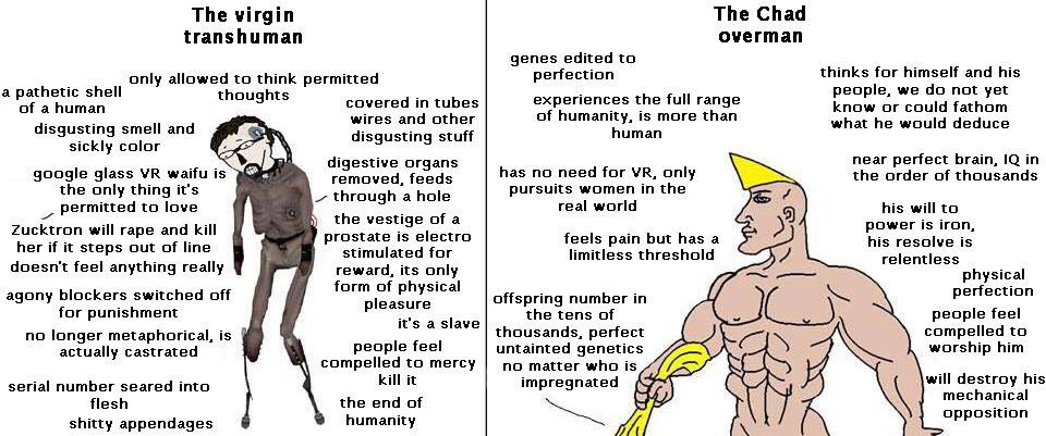virgin-transhuman-vs-chad-overman.jpg