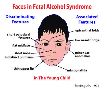 fas_face-revised.jpg
