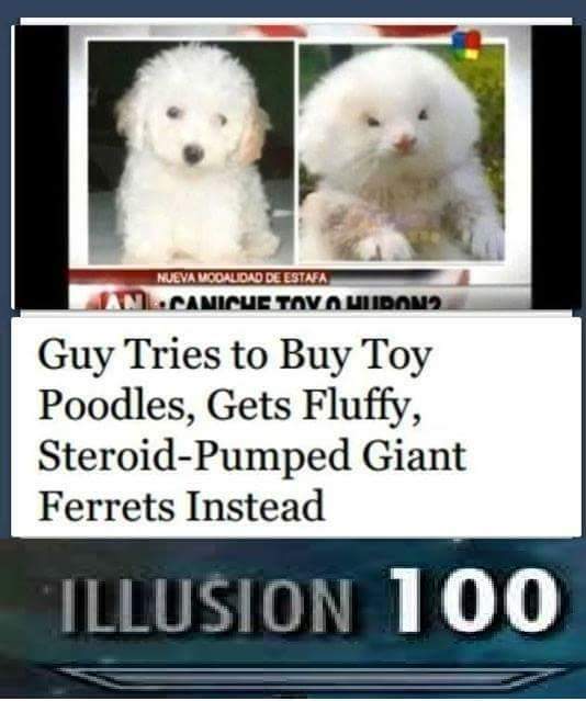 1544661186129.jpg