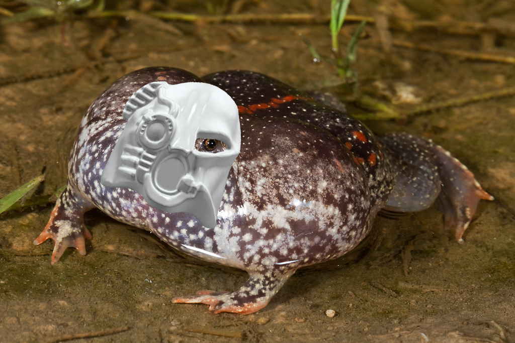 D8PX9Mx.png