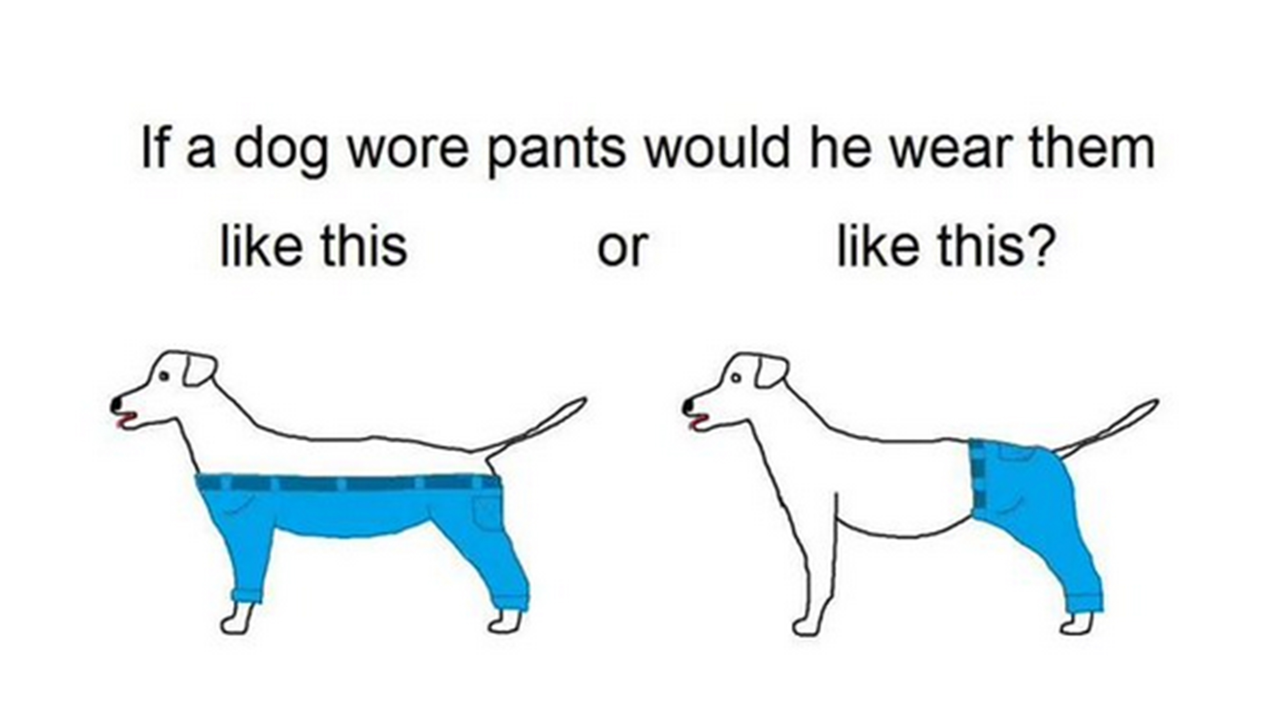 aa49a4b05e0daaedb2f8af4d46d26da7.jpg