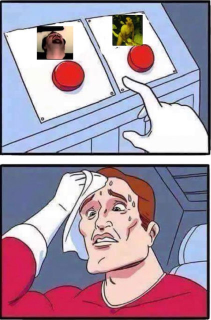 9wl6N8Y.jpg