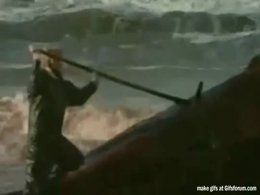 33X6.gif