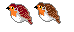 burd.png