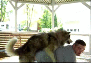 Vduhc.gif