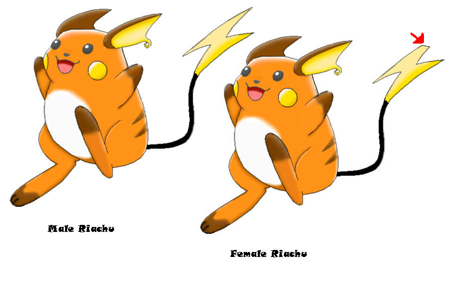 Difference_between_Riachu__s_by_May_Cat_Lvr.jpg