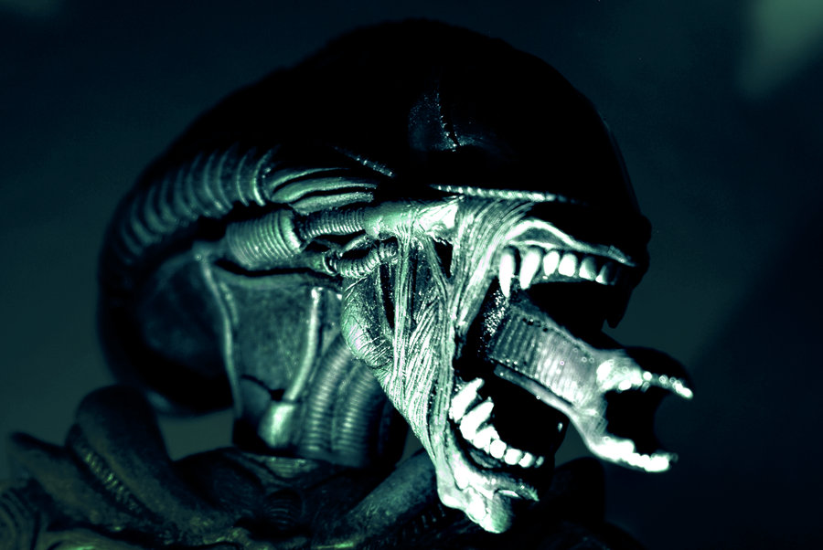 a_xenomorph_by_katzilla13.jpg