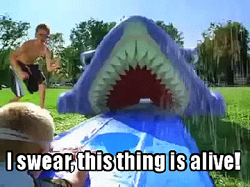 xwjmqk.gif