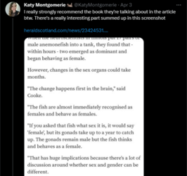 KM magically fish.PNG