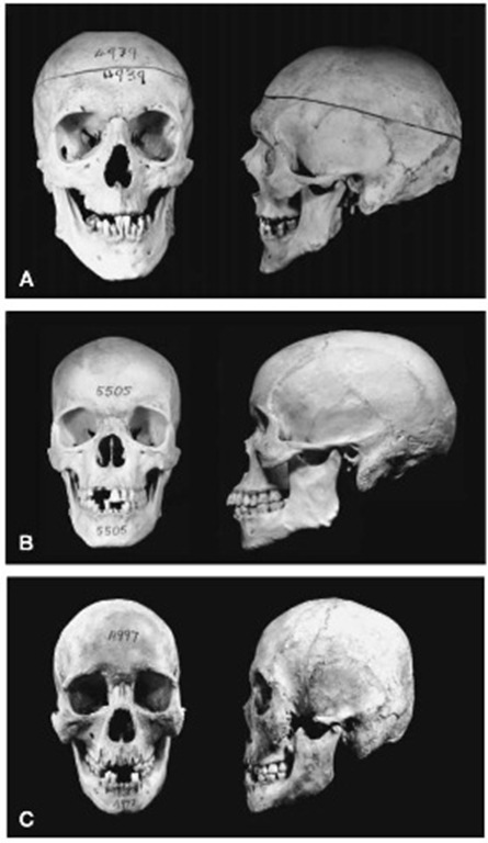 1618785897786-png.1097323