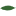 acf.org