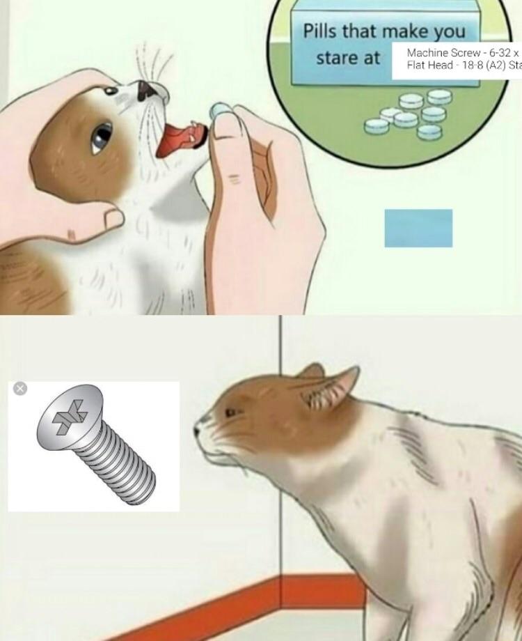 vl2wu7y5pthz.jpg