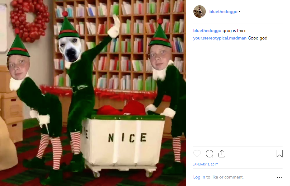 hjkgii.png