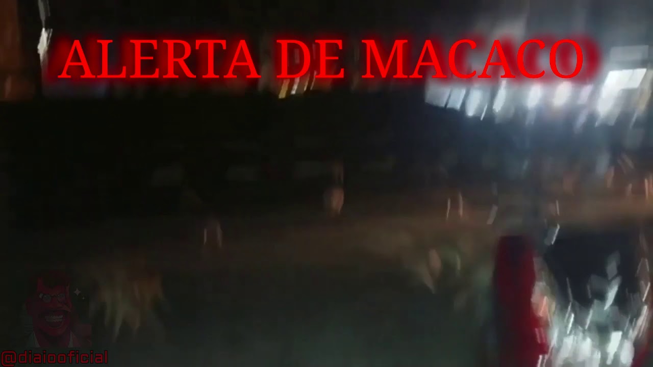 www.youtube.com