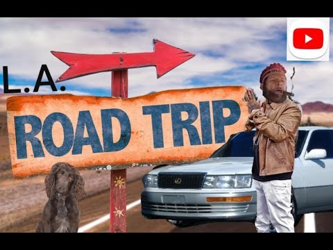 www.youtube.com