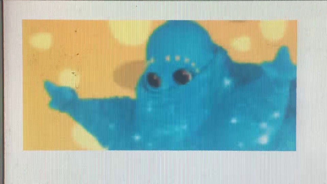 www.youtube.com