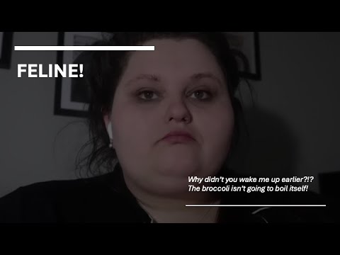 www.youtube.com
