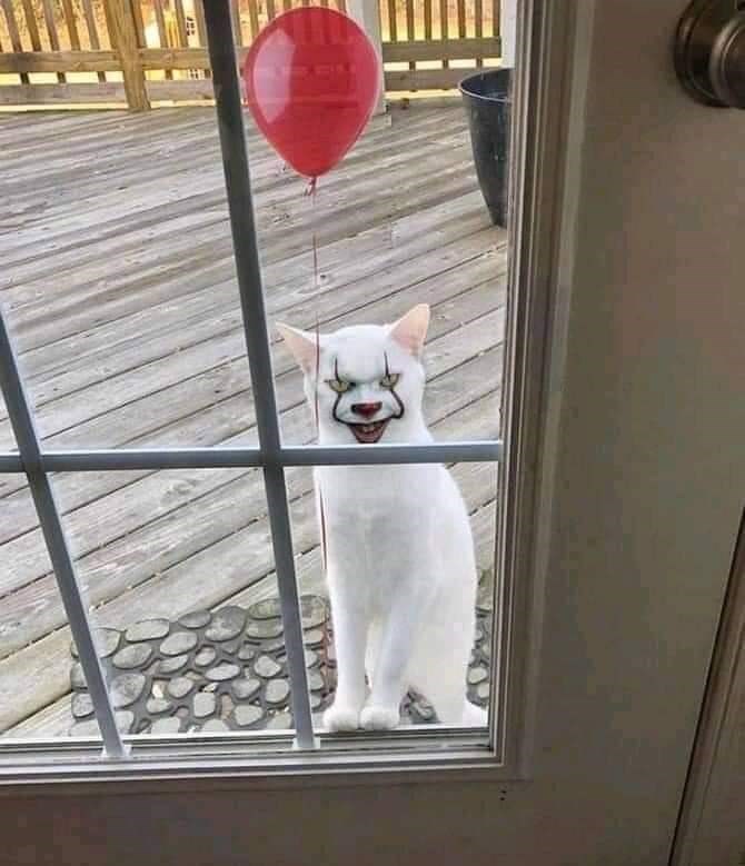 balloon
