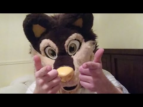 www.youtube.com