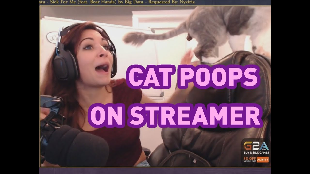 www.youtube.com