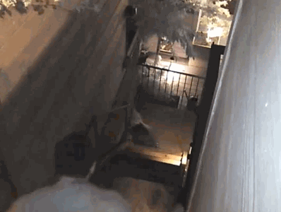 giphy.gif