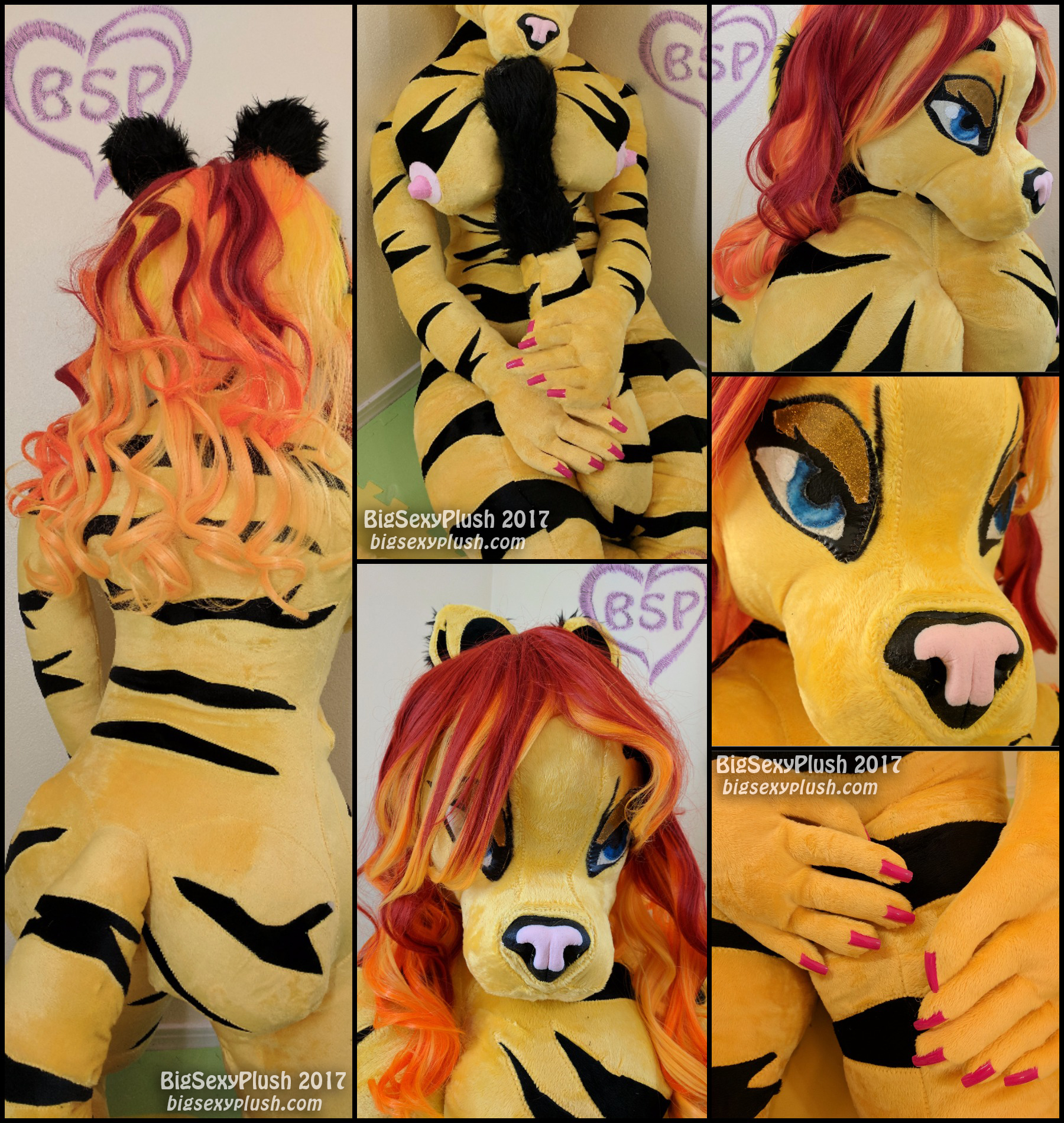 tiger_collage.jpg