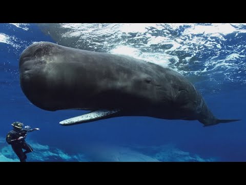 www.youtube.com