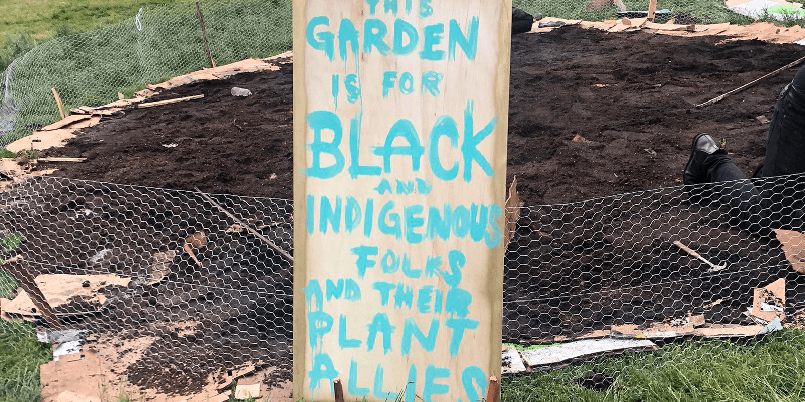 plant-allies.png