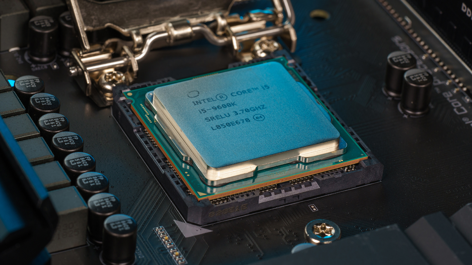 www.newegg.com