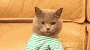 u2oi75w.gif
