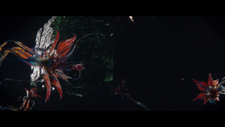 vlcsnap-2020-03-19-08h40m18s543.png