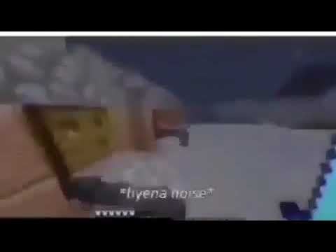 www.youtube.com