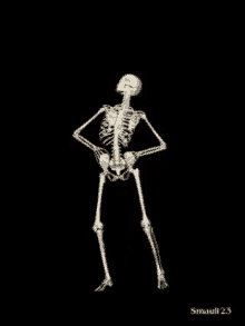skeleton-dance.gif