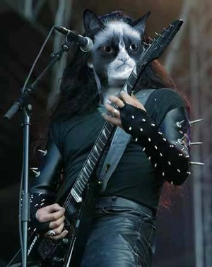 www.angrymetalguy.com