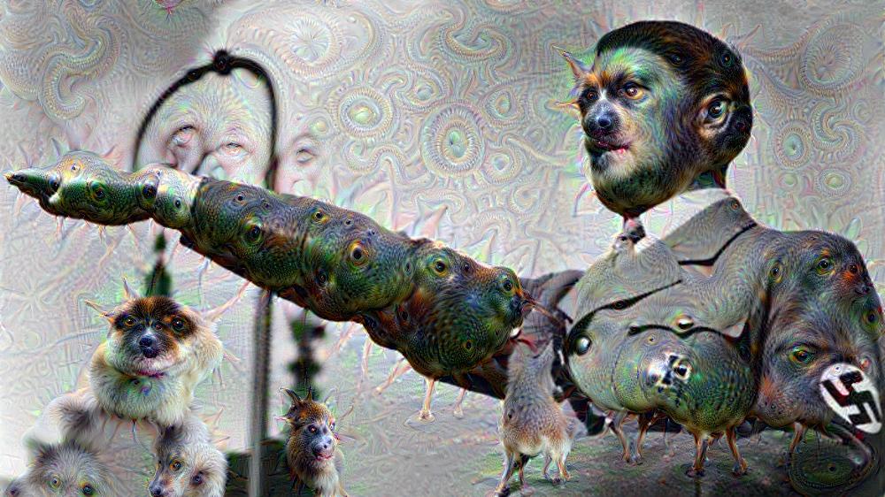 6262e197-0fbd-4240-8635-f2a1d6d48208.jpeg