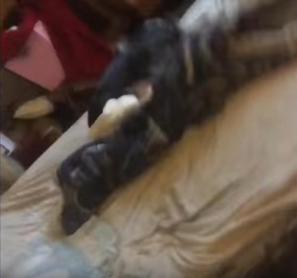 2oTKpLG.png